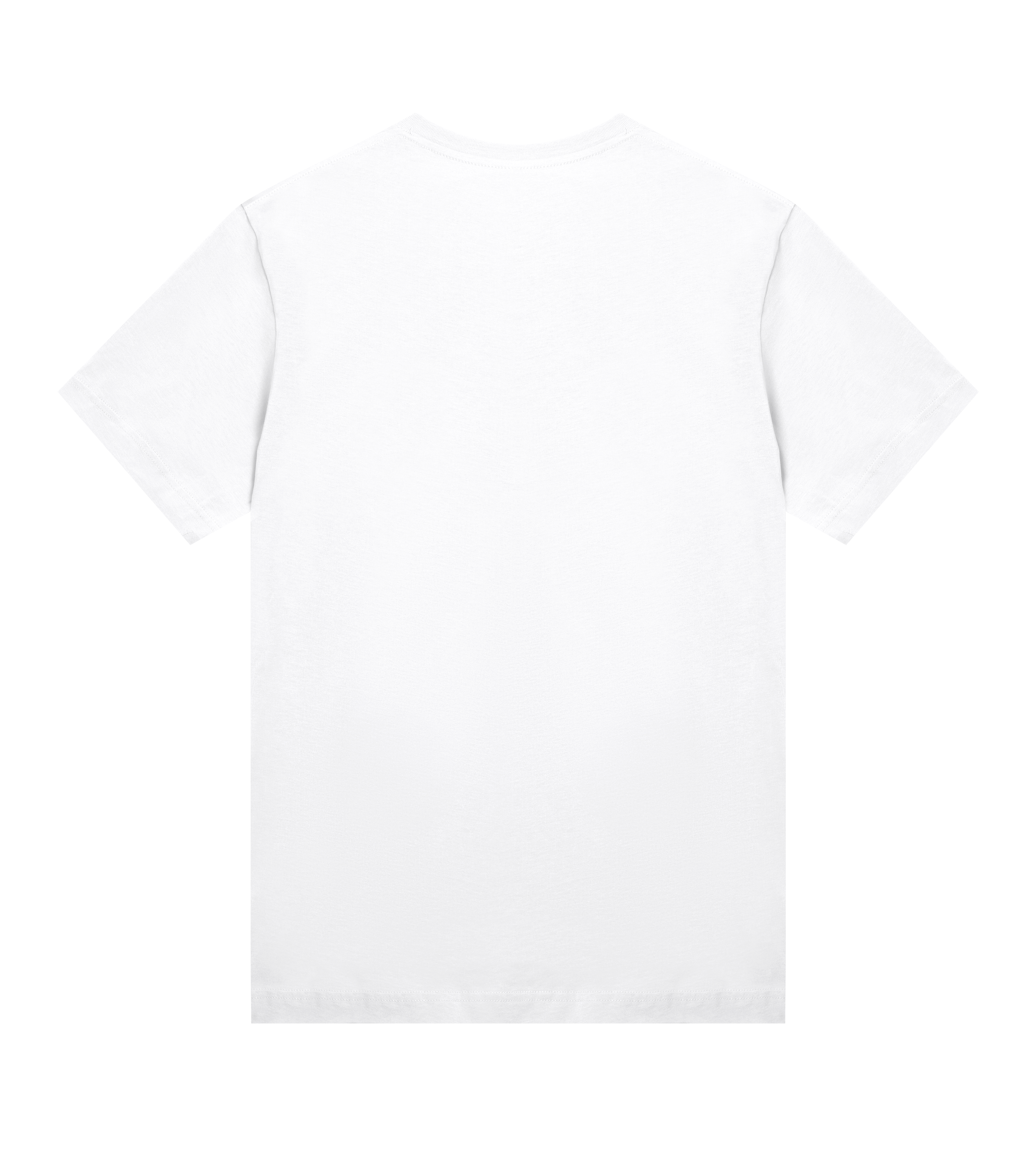 BC Essentials Womens Regular Tee - Logo F W/G - Buzz Conversions